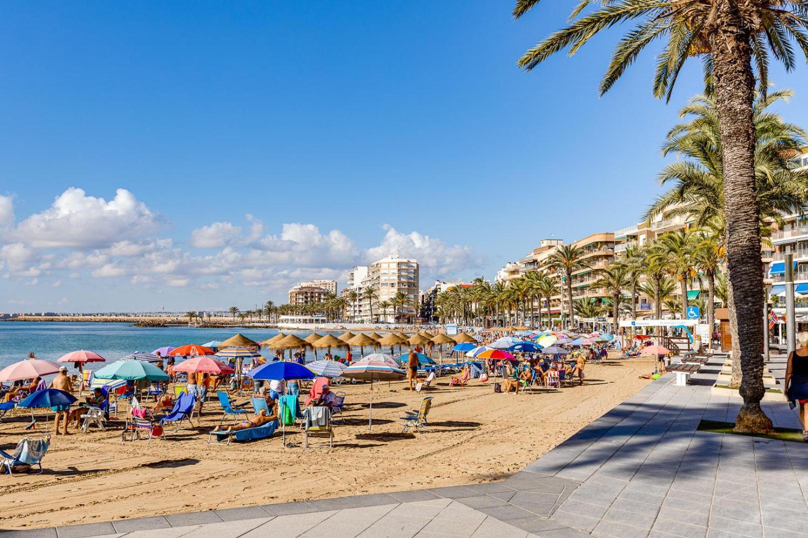 Concordia Beachside Apartment: Near Del Cura & Central Station Torrevieja Exterior photo