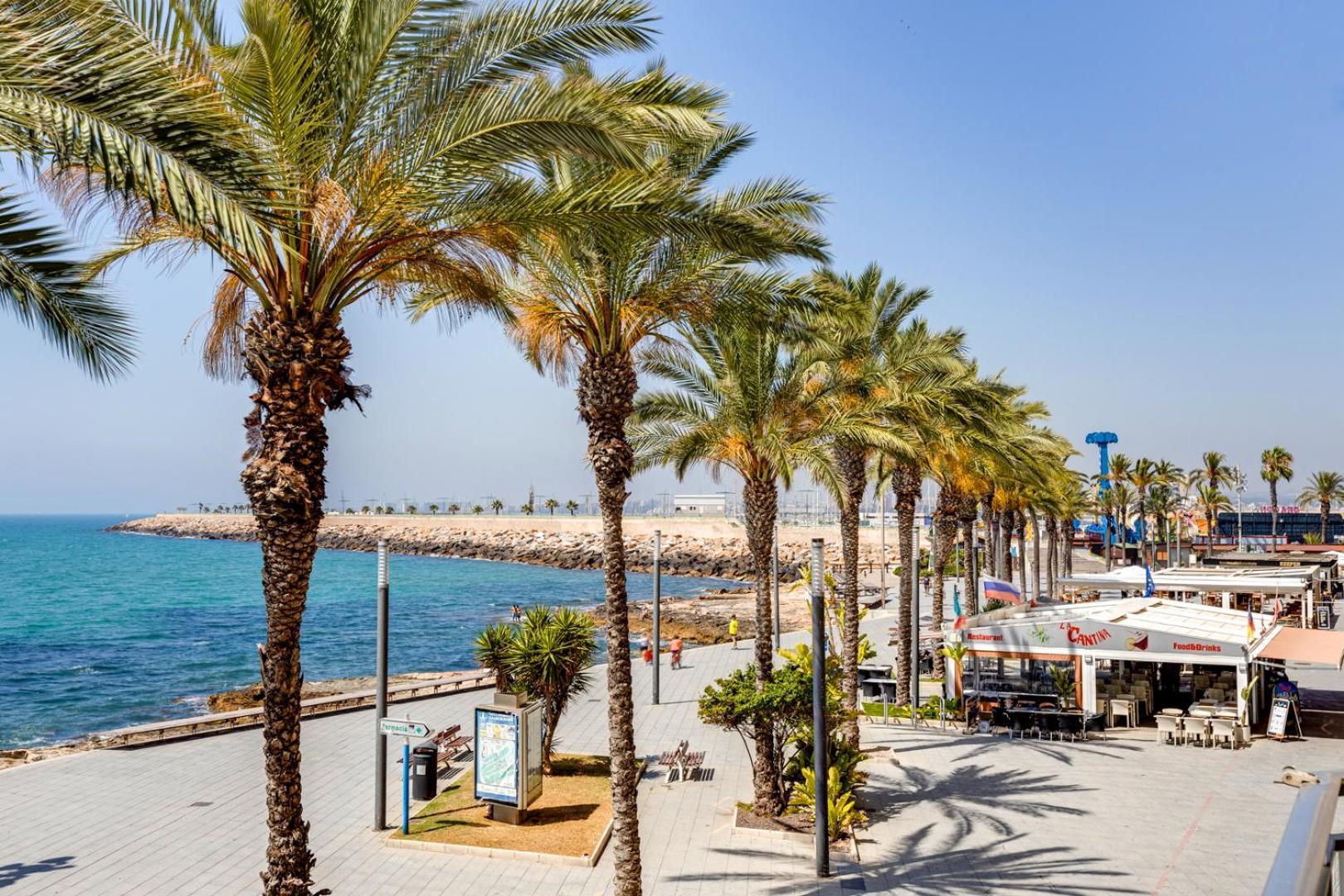 Concordia Beachside Apartment: Near Del Cura & Central Station Torrevieja Exterior photo