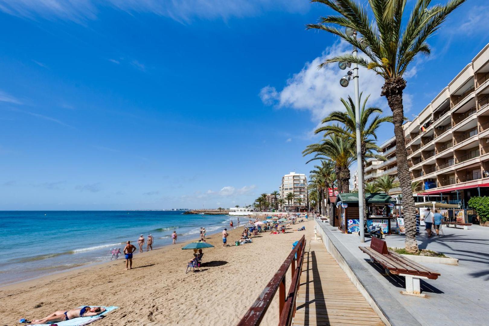 Concordia Beachside Apartment: Near Del Cura & Central Station Torrevieja Exterior photo